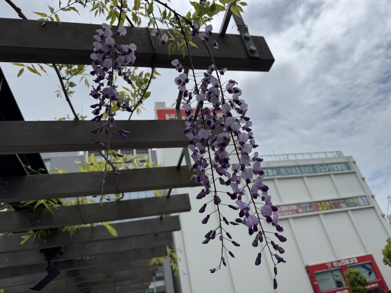 湘南映画祭 ザ・ナイトシアター  in Fujisawa
