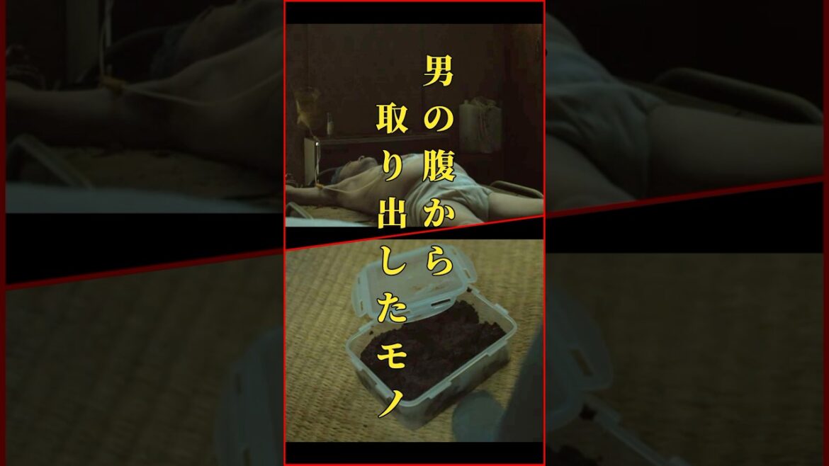 タッパーの中身はもしかして #うんち #ホラー映画 #映画解説 #みなに幸あれ #shorts