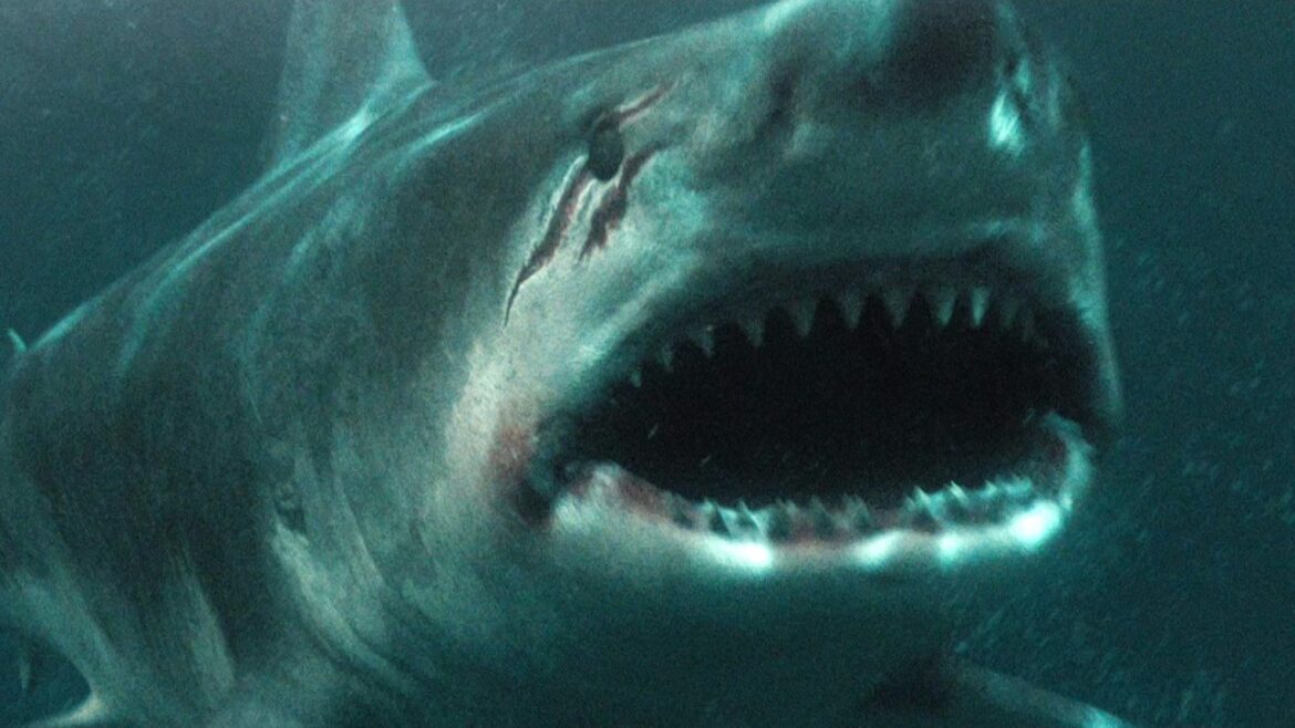 獰猛なサメが湖に忍び寄る…／映画『ホワイトシャーク 湖の水面の下に』予告編