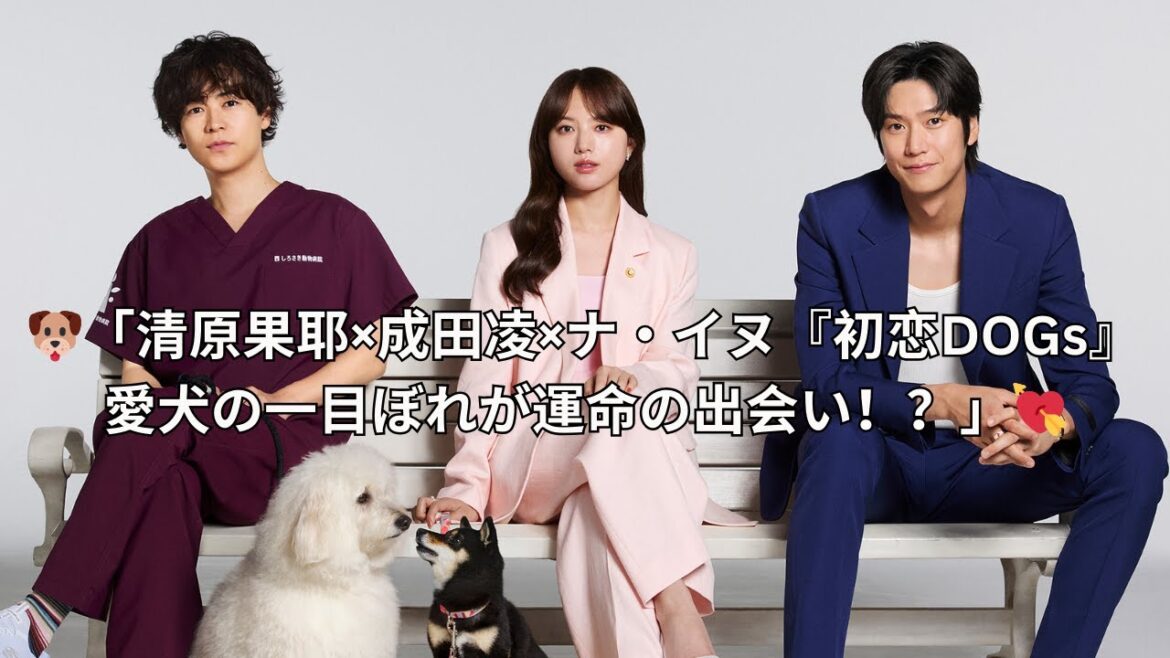 【新ドラマ】清原果耶主演『初恋DOGs』愛犬の一目ぼれから始まる奇跡のラブストーリー！成田凌＆ナ・イヌと三角関係に発展…？【コメントあり】