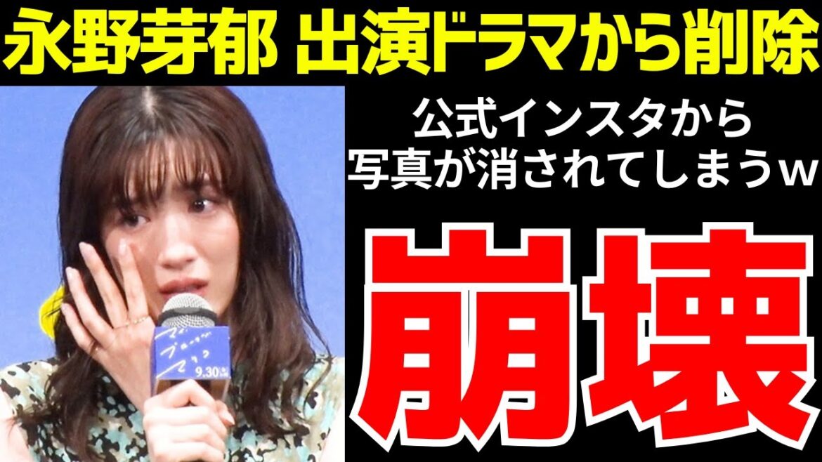 永野芽郁、出演ドラマ”キャスター”から消されていたｗwwLINE流出でCM撤退ドミノ開始ｗ【ゆっくり解説】