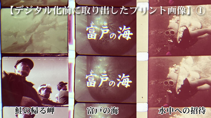 プレビュー画像１富戸の海他