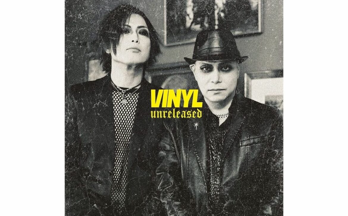 レジェンド2人によるユニット「VINYL」が再始動、黒服系キャリアから脱却したポップな音楽性 ヴィジュアル系カリスマ列伝：第25回(1/3) | JBpress (ジェイビープレス)