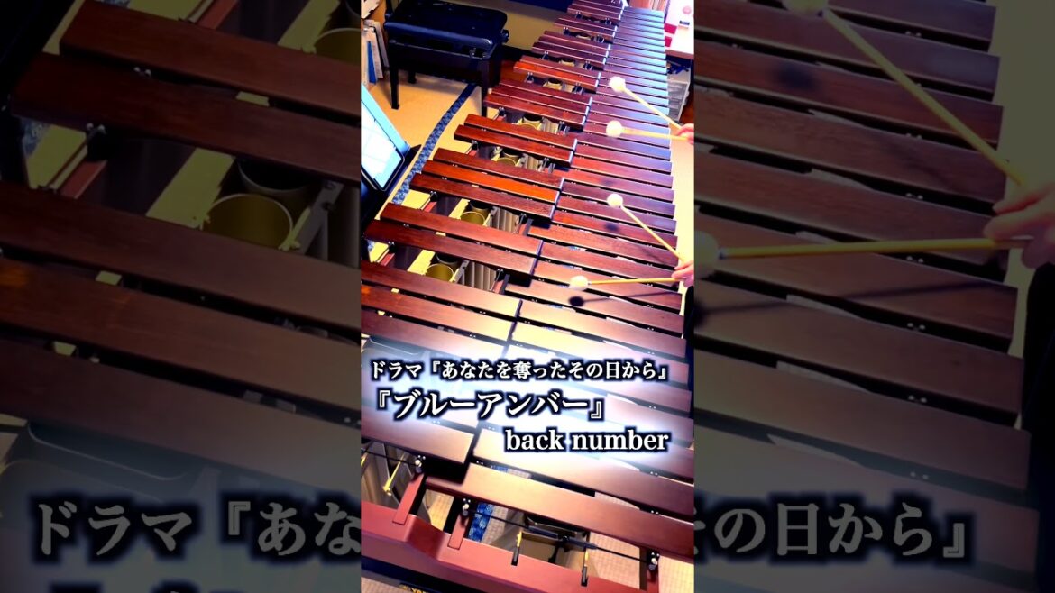 【マリンバ演奏】back number『ブルーアンバー』月10ドラマ主題歌 【マリンバ演奏】back number『ブルーアンバー』月10ドラマ主題歌
