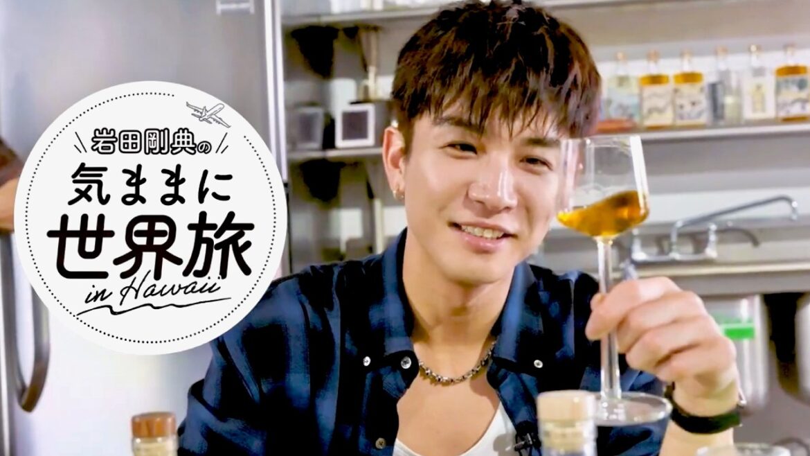 岩田剛典と巡るハワイ濃厚3日間！「岩田剛典の気ままに世界旅 in Hawaii」 ／日本旅行業協会 PR動画