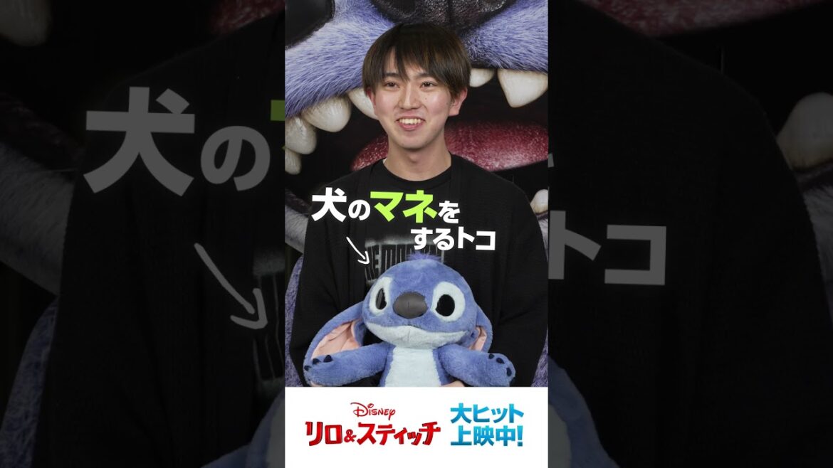 スティッチ が映画館に襲来⁉キュートでモフモフになってスクリーンに帰ってきた✨実写版『#リロアンドスティッチ』大ヒット上映中！