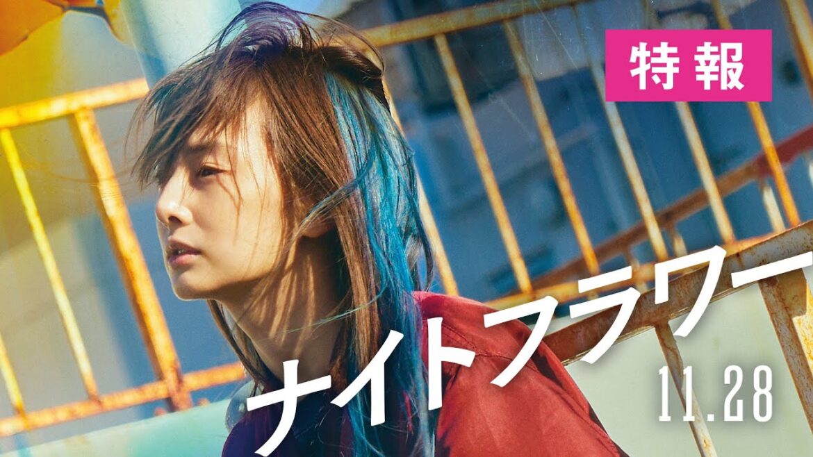 映画『ナイトフラワー』【特報】11月28日（金）全国公開