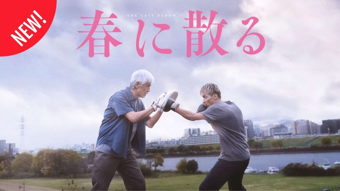 「日本映画フル」どん底を見た初老の男。 ✔️📀📽️サスペンスドラマ最新2025 FULL HD
