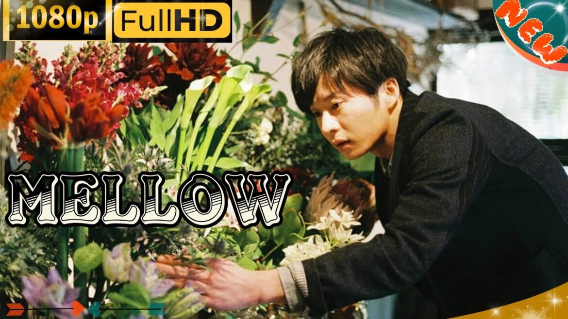 「日本ドラマ」--💖 MELLOW🔥-- 日本の恋愛映画FHD