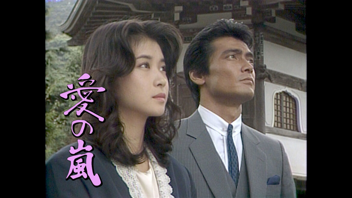 愛の嵐
