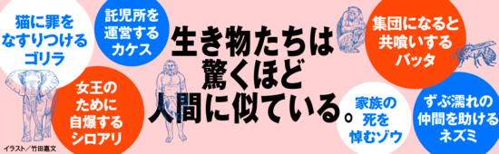 人気予備校講師が「この本、むっちゃ面白いから毎日気晴らしに少しずつ読んでるんだけど、一番驚くのが700ページ超で本体2000円。今の時代にこれは価格破壊なのでは？」と投稿しSNSで大反響となった一冊とは？【書籍オンライン編集部セレクション】