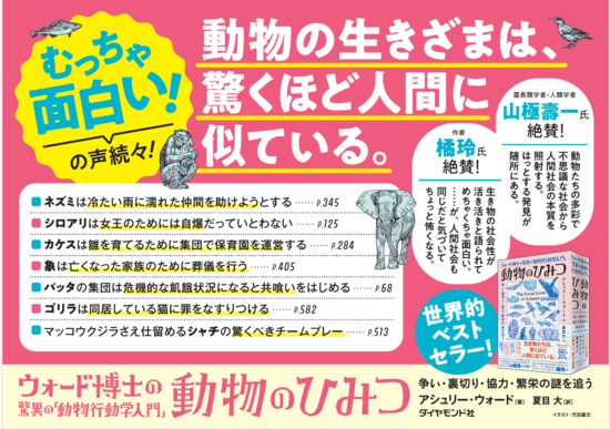人気予備校講師が「この本、むっちゃ面白いから毎日気晴らしに少しずつ読んでるんだけど、一番驚くのが700ページ超で本体2000円。今の時代にこれは価格破壊なのでは？」と投稿しSNSで大反響となった一冊とは？【書籍オンライン編集部セレクション】