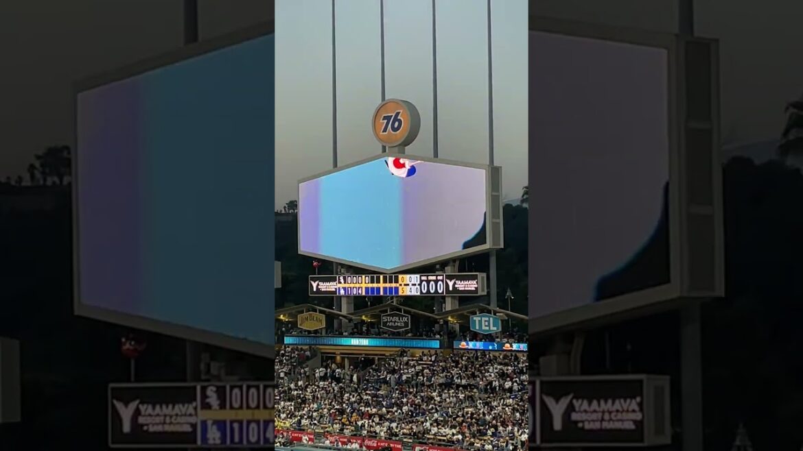ONE PIECE Noisemeter at Dodger Stadium