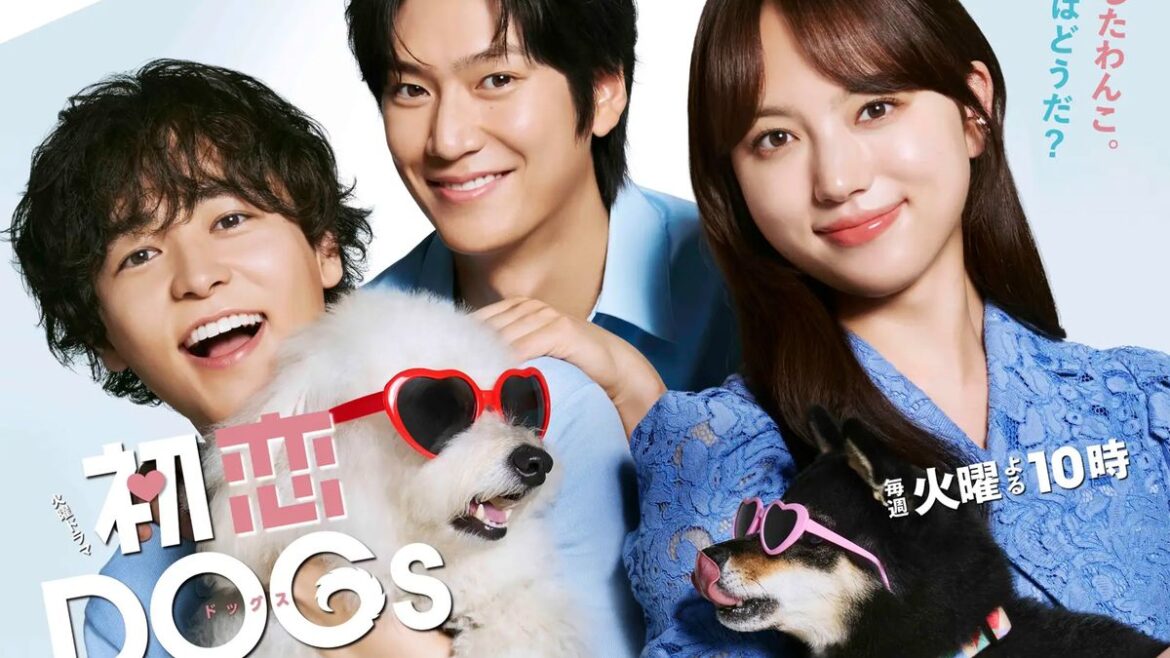 NHK 日テレ フジにはできない…なぜ｢総務省｣がTBS｢VIVANT｣ではなく"愛犬家ラブストーリー"に大注目するのか 日本のドラマ史上に名を刻むかもしれない｢初恋DOGs｣ | PRESIDENT Online（プレジデントオンライン）