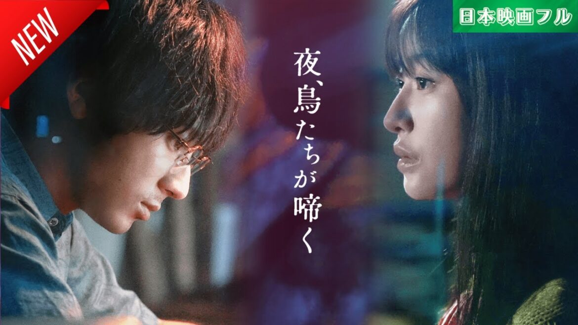 「日本映画フル」夜、鳥たちが啼く ✔️📀📽️サスペンスドラマ最新2025 FULL HD