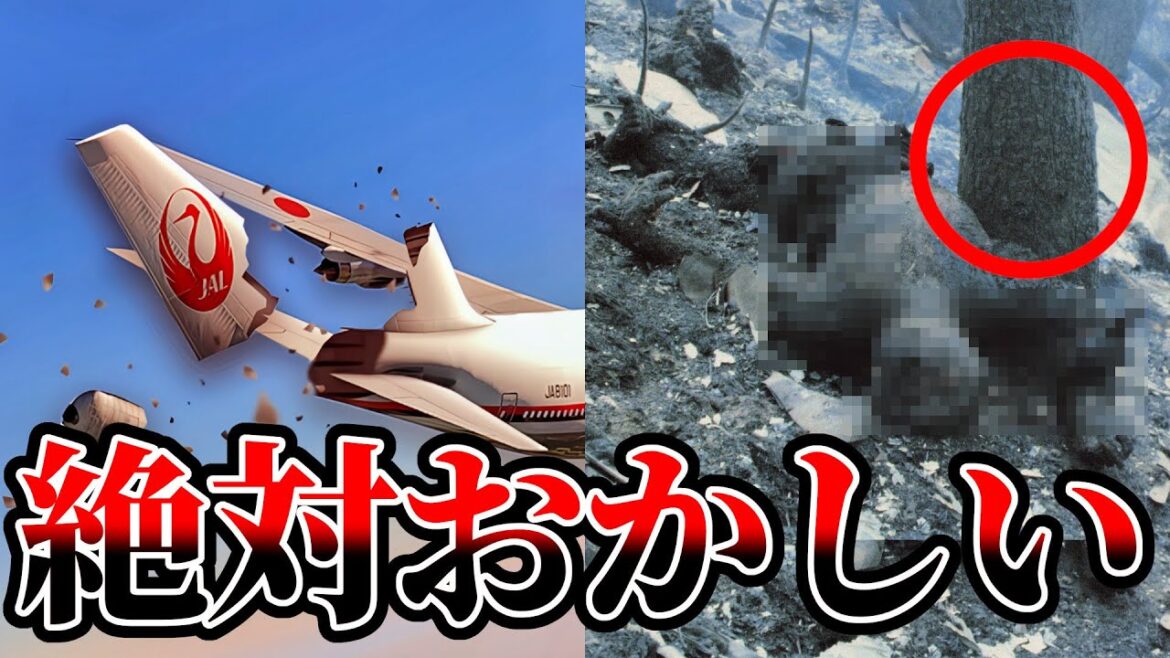 【日航123便墜落】遺体と遺物が語る事件の真実とは【JAL 日本航空 日航123便墜落事故 ゆっくり解説】