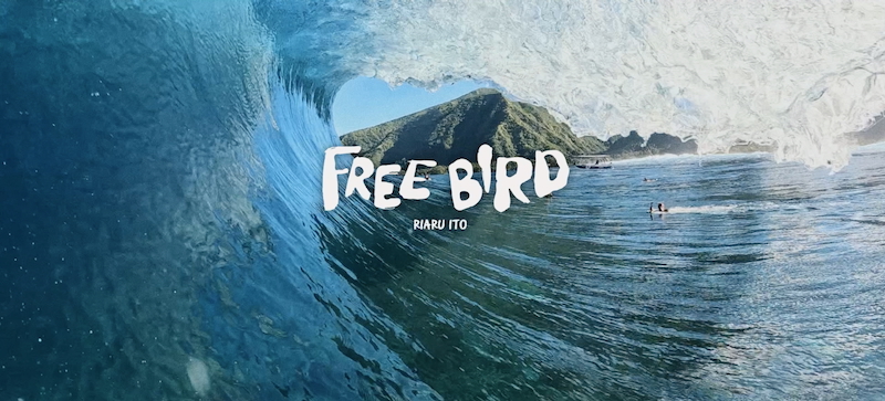 スクリーンショット 2025-08-18 4.32.36