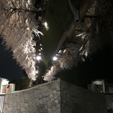 めぐ