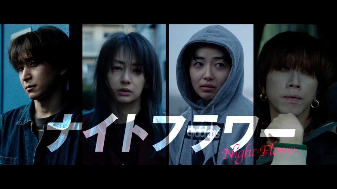 映画『ナイトフラワー』【特報2】11月28日(金)全国公開 映画『ナイトフラワー』【特報2】11月28日(金)全国公開