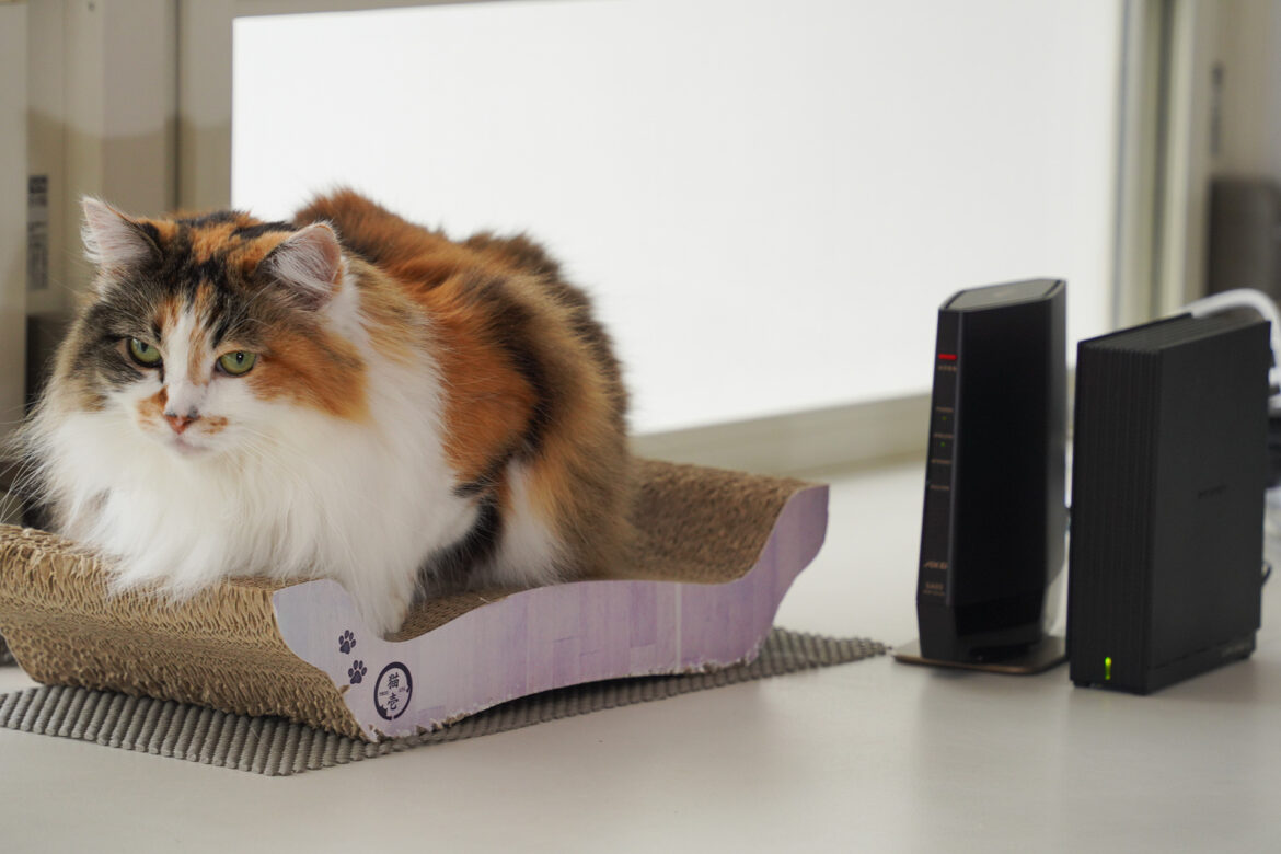 アイ・オーのNAS「LAN DISK」に保存した音楽をスマホから聴く方法【自宅Wi-Fiの“わからない”をスッキリ!】 – INTERNET Watch アイ・オーのNAS「LAN DISK」に保存した音楽をスマホから聴く方法【自宅Wi-Fiの“わからない”をスッキリ!】 - INTERNET Watch