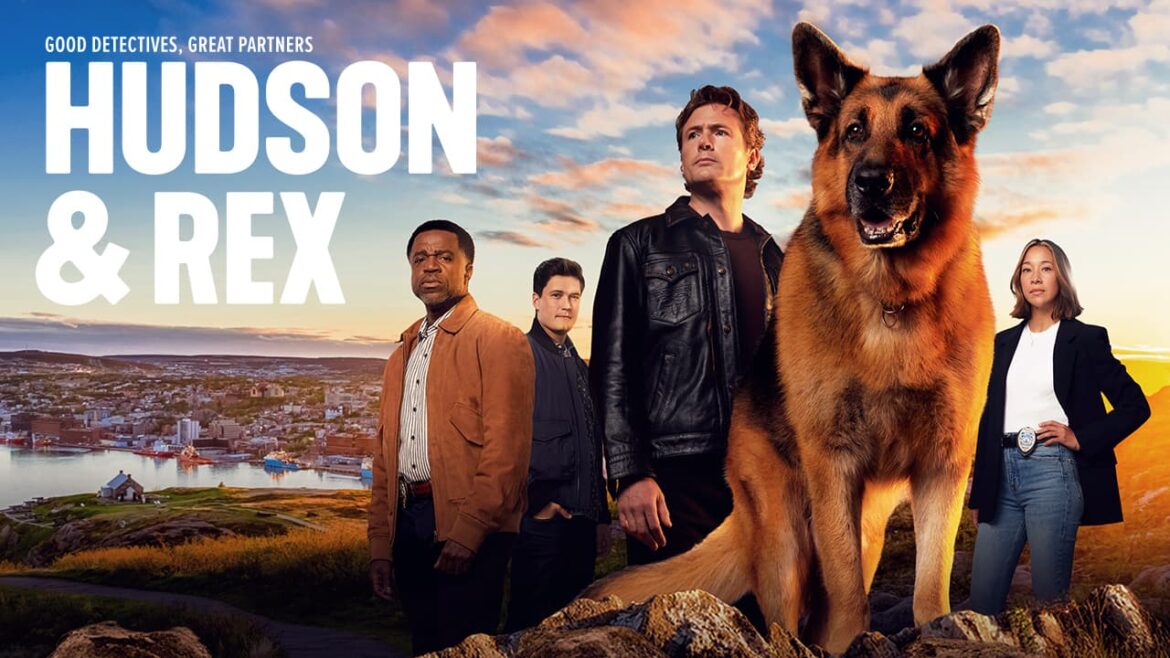 『ハドソン＆レックス～セントジョンズ警察シェパード犬刑事』シーズン7、日本初放送！愛犬と一緒に鑑賞できる試写会を開催 - 海外ドラマNAVI