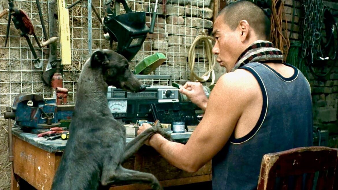 頭が良く人に決して捕まらない犬の天才的な演技力！映画『ブラックドッグ』実力派名優犬の映像集