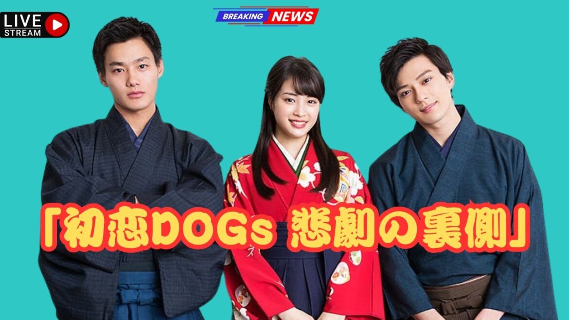 『初恋DOGs』視聴率大崩壊…なぜ日韓ドラマ共同制作は“いつも失敗する”のか｜J-Star Watch"#初恋DOGs #日韓ドラマ #JStarWatch,le]",
