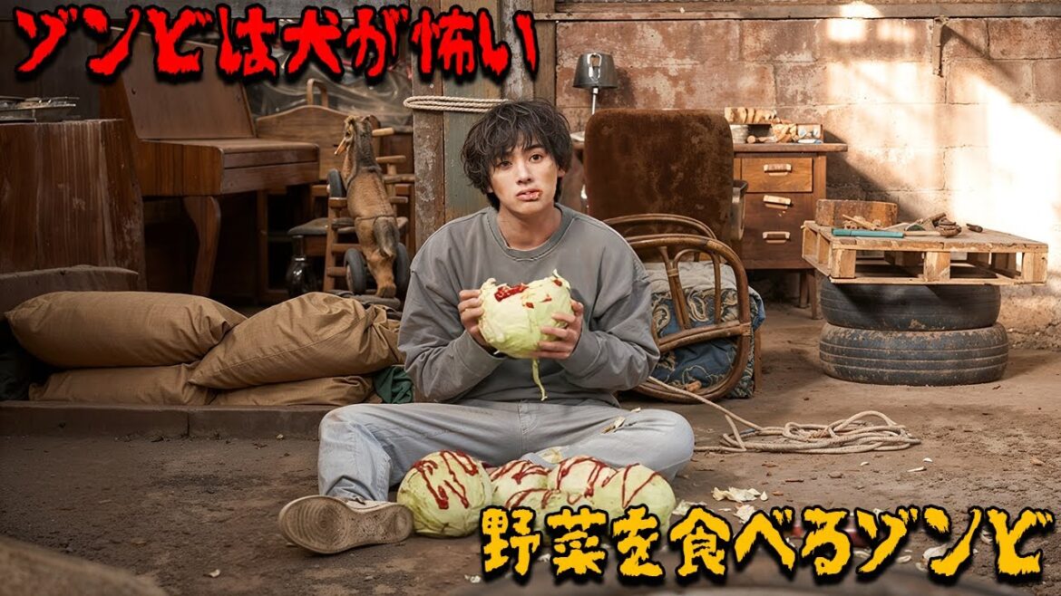 同じゾンビなのに、このゾンビはちょっと変なんです。【映画紹介】 同じゾンビなのに、このゾンビはちょっと変なんです。【映画紹介】