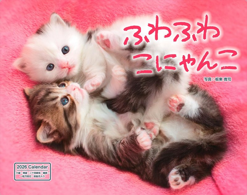 かわいい猫に癒やされまくる!2026年カレンダーが10%OFF – Book Watch/セール情報 – 窓の杜 かわいい猫に癒やされまくる!2026年カレンダーが10%OFF - Book Watch/セール情報 - 窓の杜