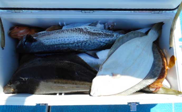 「雨上がりの玄界灘でドラマ！」落とし込み釣りでメーター超えヒラマサ2本キャッチ【福岡】