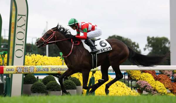 GLAYのTERUが名付け親「テルヒコウ」がデビューV 自身のXで「テルヒコウ、かっこよかった」 – au Webポータル GLAYのTERUが名付け親「テルヒコウ」がデビューV 自身のXで「テルヒコウ、かっこよかった」 - au Webポータル