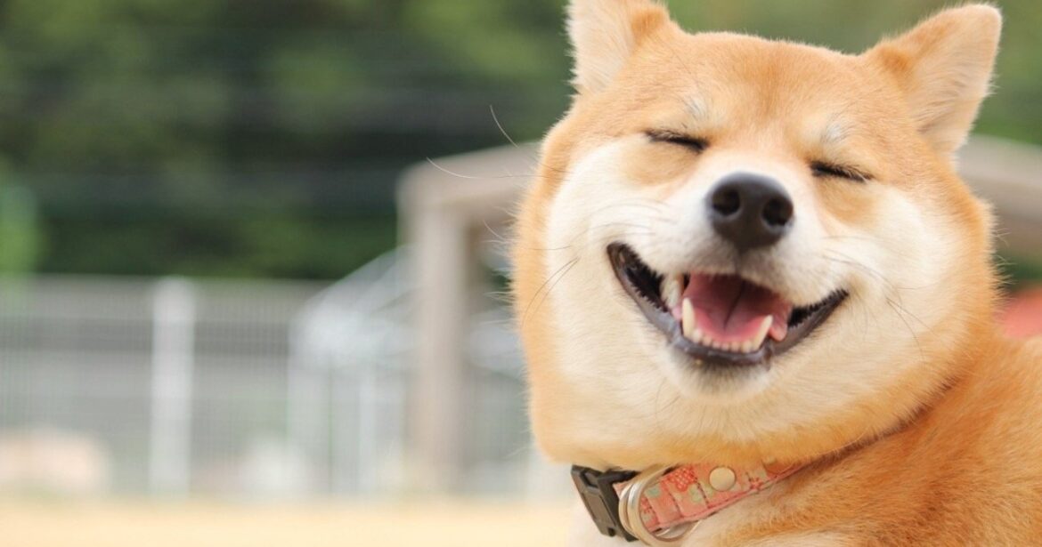 【心が疲れたとき】生きるのが一瞬でラクになる「すごい一言」ナンバーワン【書籍オンライン編集部セレクション】 | 精神科医が娘に送る心理学の手紙 | ダイヤモンド・オンライン