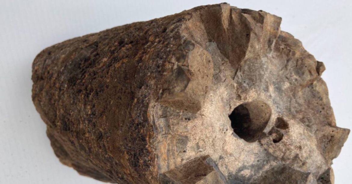 書店展示イベント「どうしてこんな色・カタチ!?――深海のすごい石コレクション」はじまりました!(海洋研究開発機構&ブルーバックス) | ブルーバックス | 講談社 書店展示イベント「どうしてこんな色・カタチ!?――深海のすごい石コレクション」はじまりました!(海洋研究開発機構&ブルーバックス) | ブルーバックス | 講談社