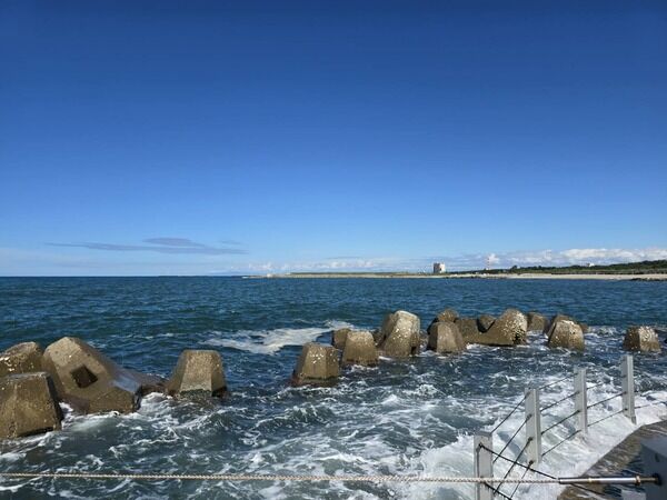 TBS『ニノなのに』の『収録中に戻って来られる?リアル中継検証!』で『 日和山浜』周辺でロケ!菅田琳寧くんが走る!TVerで配信中。 – にいがた速報 ニノなの