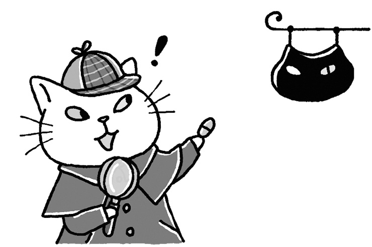 オッドアイの白猫アンジー 本の世界へ旅をする(3)