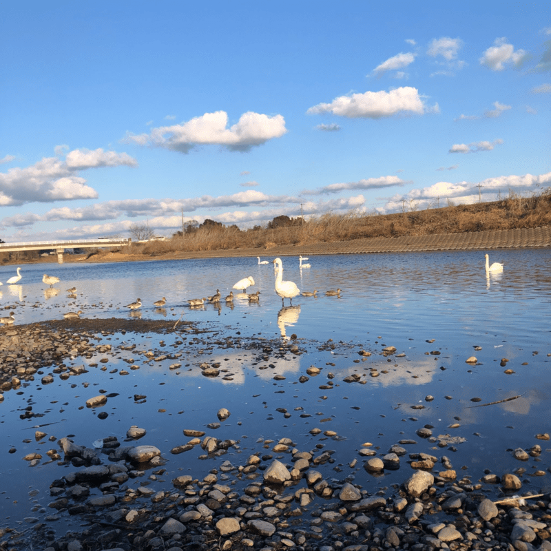 リスト (rutekia remix)