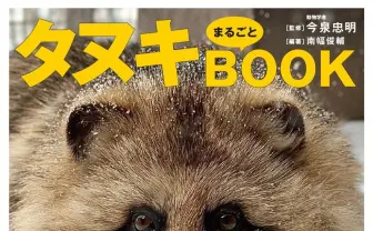 タヌキの魅力を網羅『タヌキまるごとBOOK』刊行　動物園情報や生態も解説