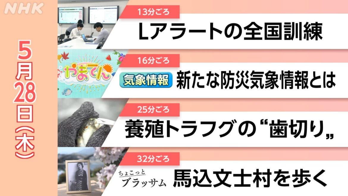 【見逃し配信】ちょこっとブラッサム 宇野千代 青春の舞台 馬込文士村を歩く 5/28(木)情報維新！やまぐち