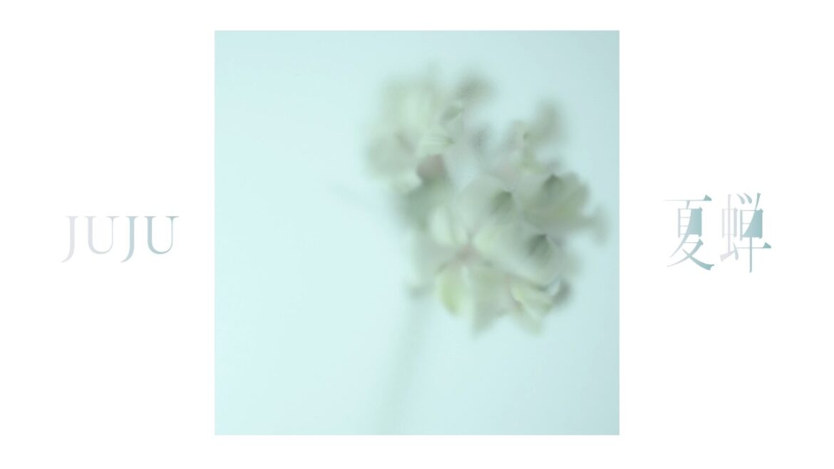 JUJU「夏蝉」|ドラマ『ファーストクライ 母子救命救急班』主題歌【Official Audio】 JUJU「夏蝉」|ドラマ『ファーストクライ 母子救命救急班』主題歌【Official Audio】