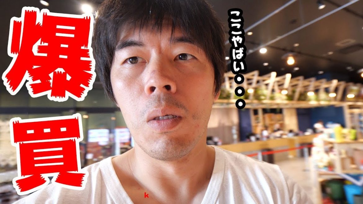 爆買！？関西最大級のアウトドアショップ「アルペンアウトドアーズ宇治」に行ってみた！