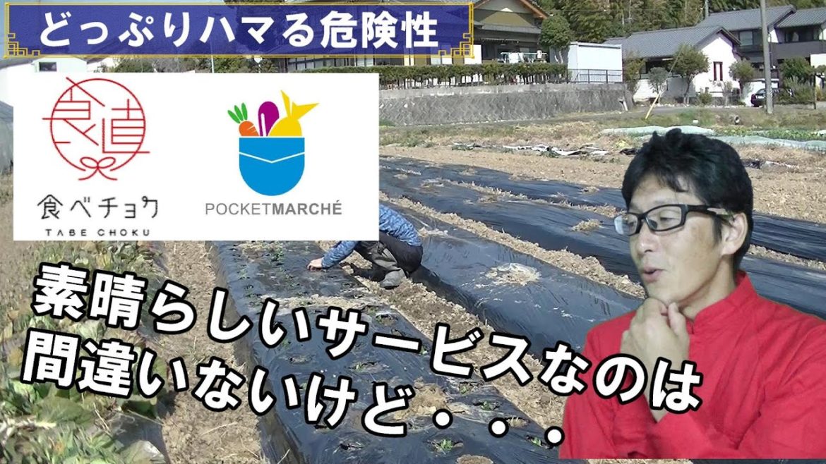 食べチョクもポケットマルシェも素晴らしいサービスだと思うけど・・・