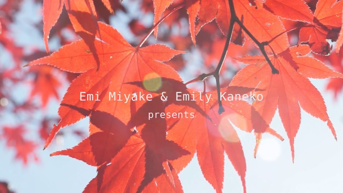 Emi Miyake ＆ Emily Kaneko presents