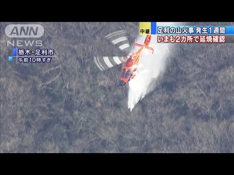 発生から1週間・・・栃木・足利の山火事 2カ所で延焼中(2021年2月27日) 発生から1週間・・・栃木・足利の山火事 2カ所で延焼中(2021年2月27日)