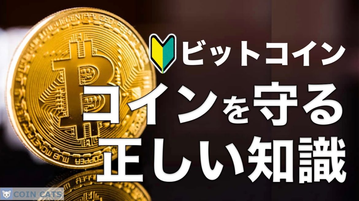 【初心者向け】暗号資産（仮想通貨）の取引所とウォレットの違いとは？おすすめウォレットご紹介（基礎知識）