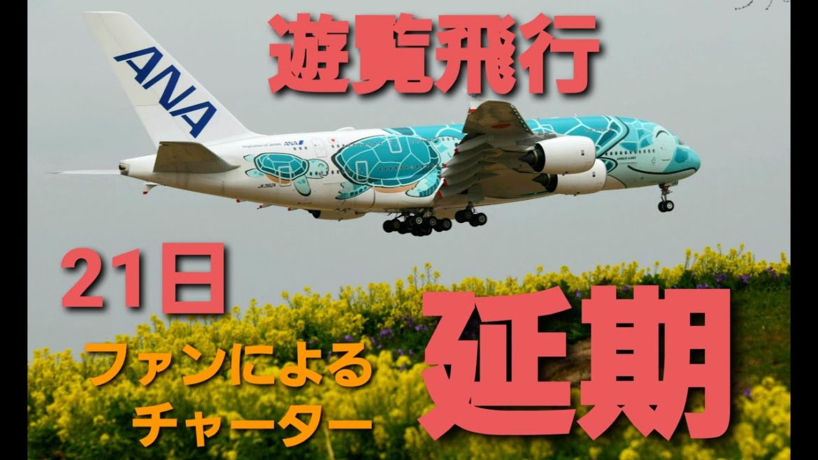 ✈✈「RJAA]成田空港 ２１日のファンによるチャーターフライトは延期!!FLYING HONU ANA 全日空 (All Nippon Airways)Airbus A380-841JA381A