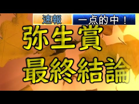 ストマック ストマック