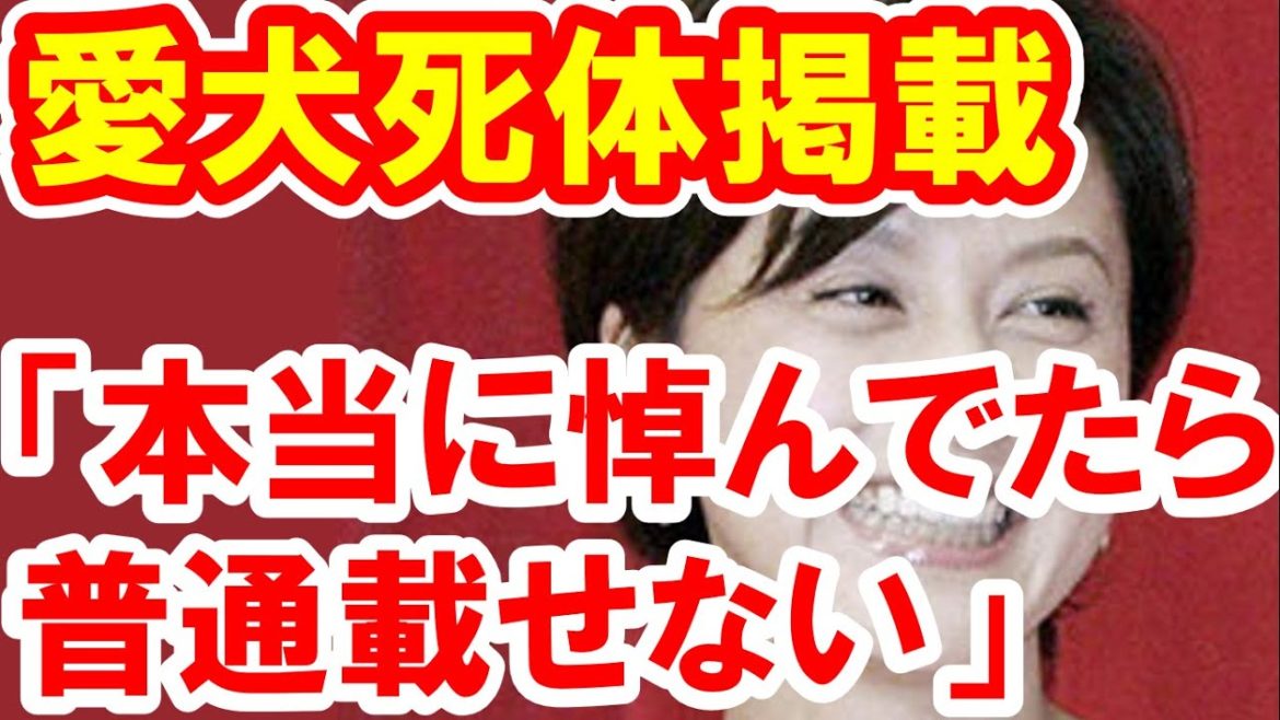 藤原紀香またやらかす。愛犬のタヒ体写真を投稿して非常識との非難が殺到。もうこれはワザととしか。【芸能おもクロ秘話ニュース】 藤原紀香またやらかす。愛犬のタヒ体写真を投稿して非常識との非難が殺到。もうこれはワザととしか。【芸能おもクロ秘話ニュース】