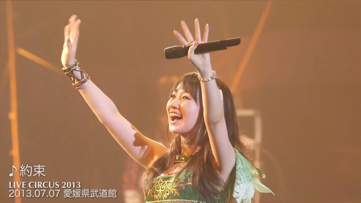 水樹奈々「約束」（NANA MIZUKI LIVE CIRCUS 2013 愛媛県武道館）