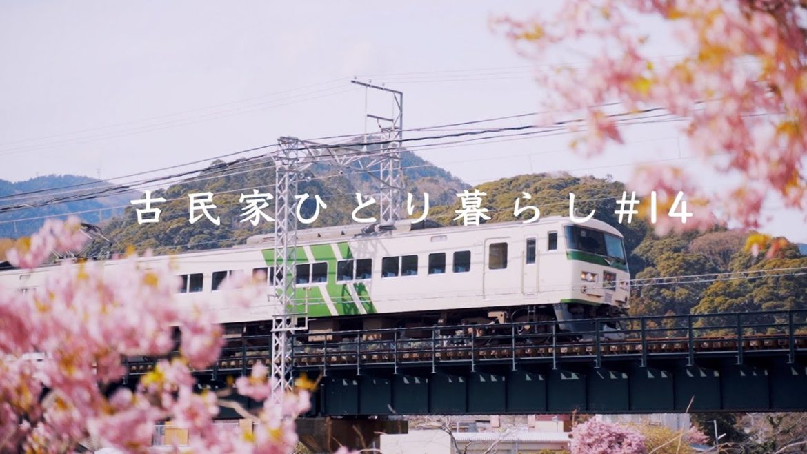 河津桜まつり｜熱海観光｜伊豆大川の磯の湯｜電車一人旅【田舎暮らし】