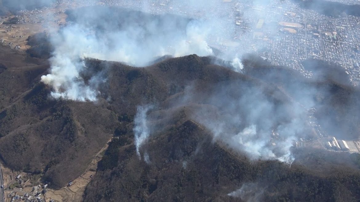 栃木の山火事、消火続く 足利、陸自や消防が活動